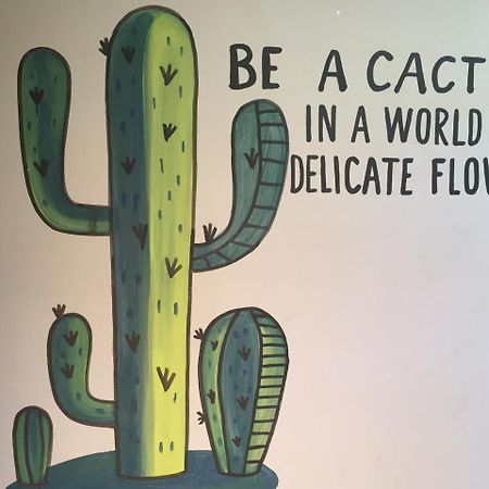 Bajas Cactus Hostel Cabo San Lucas Luaran gambar