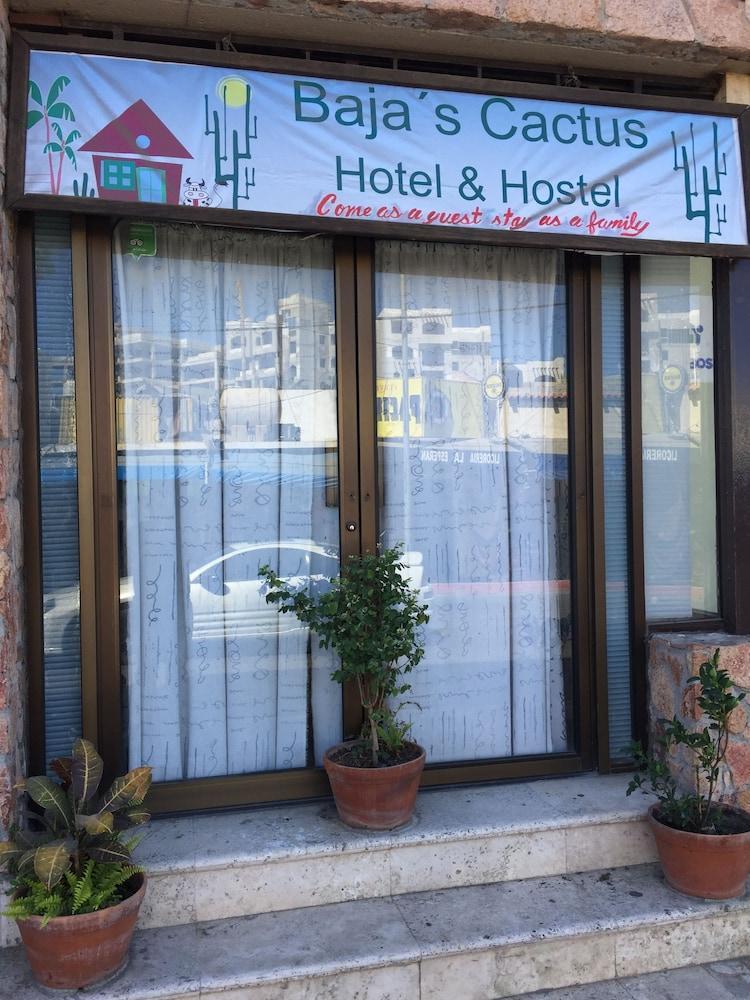 Bajas Cactus Hostel Cabo San Lucas Luaran gambar