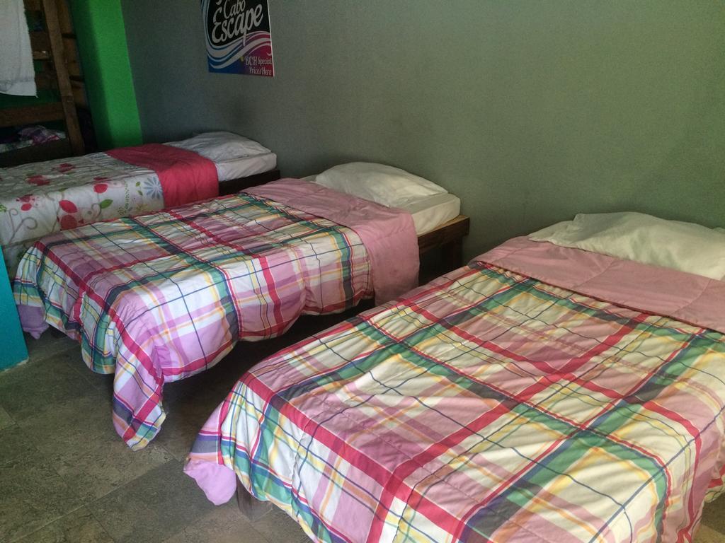 Bajas Cactus Hostel Cabo San Lucas Bilik gambar