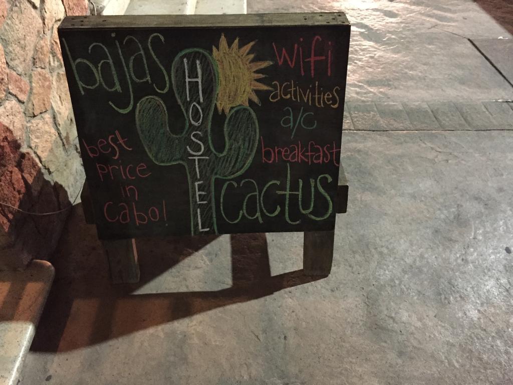 Bajas Cactus Hostel Cabo San Lucas Luaran gambar