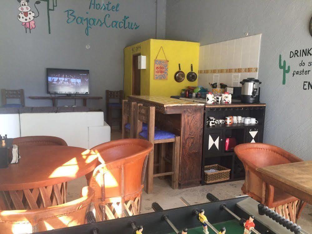 Bajas Cactus Hostel Cabo San Lucas Luaran gambar