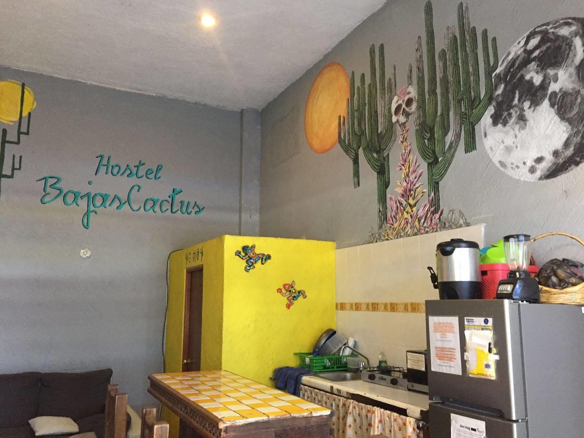 Bajas Cactus Hostel Cabo San Lucas Luaran gambar