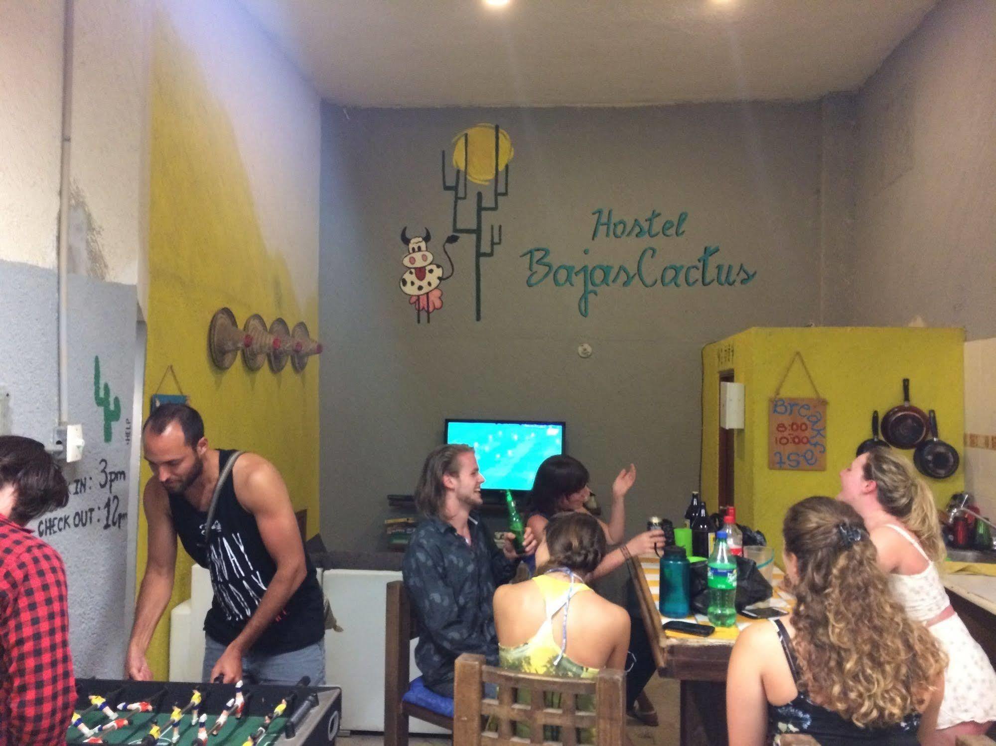 Bajas Cactus Hostel Cabo San Lucas Luaran gambar