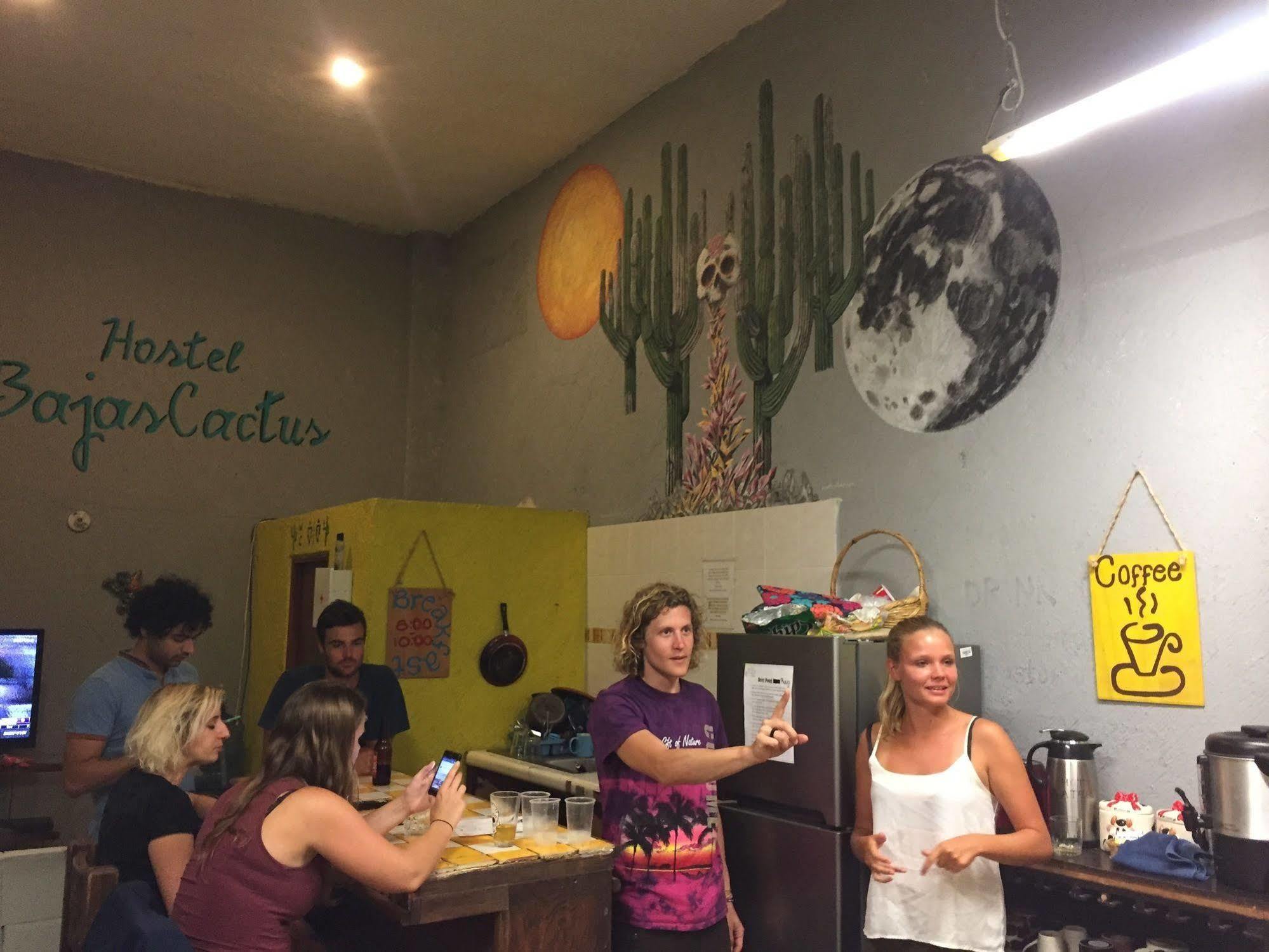 Bajas Cactus Hostel Cabo San Lucas Luaran gambar