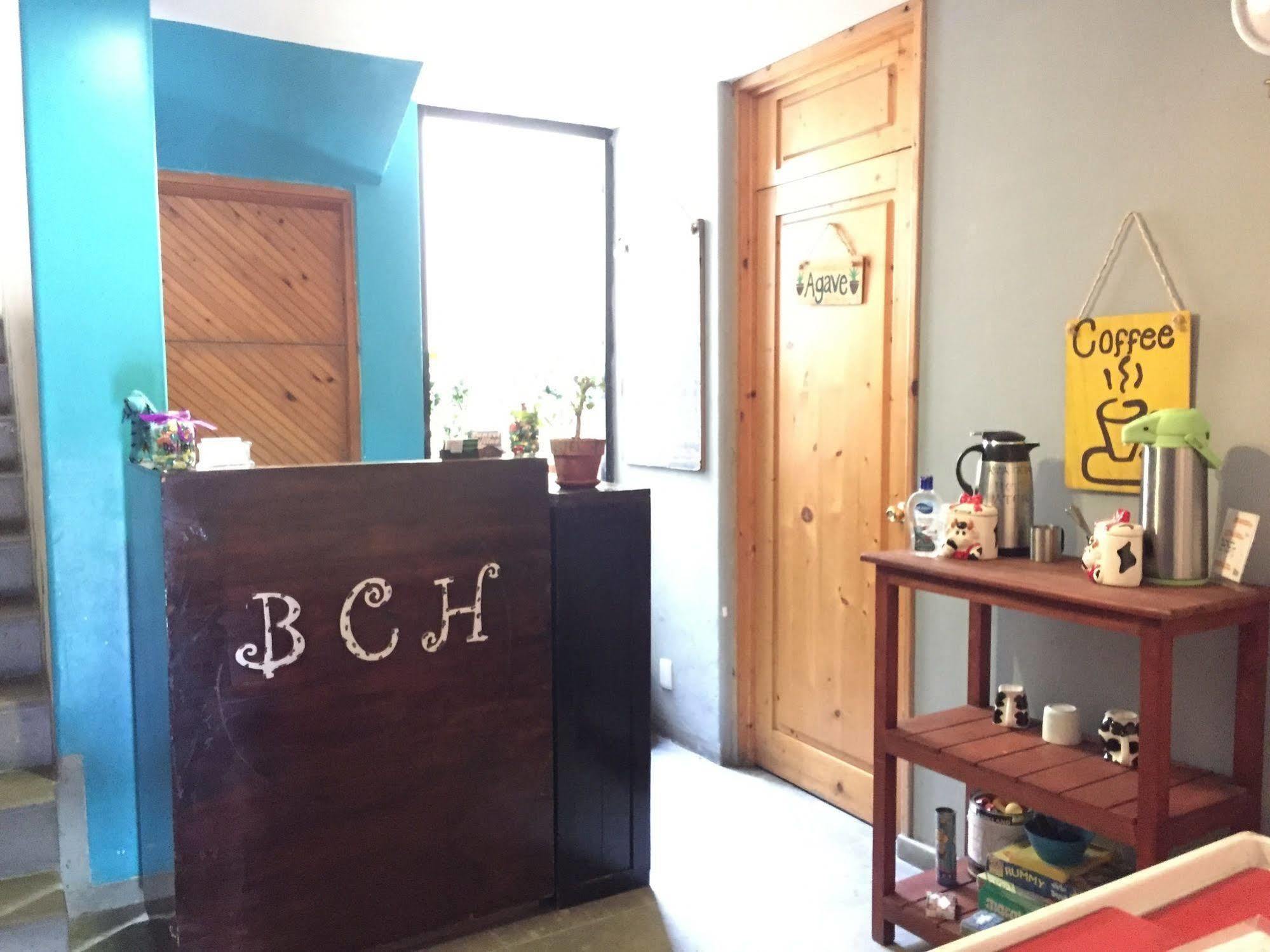 Bajas Cactus Hostel Cabo San Lucas Luaran gambar