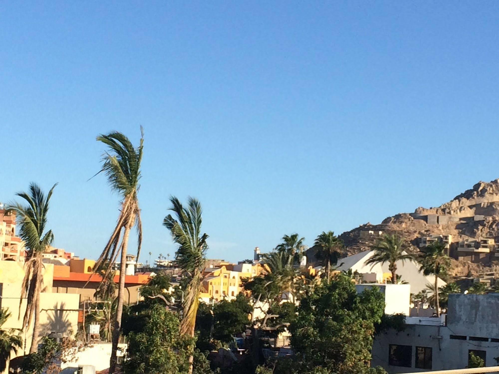 Bajas Cactus Hostel Cabo San Lucas Luaran gambar