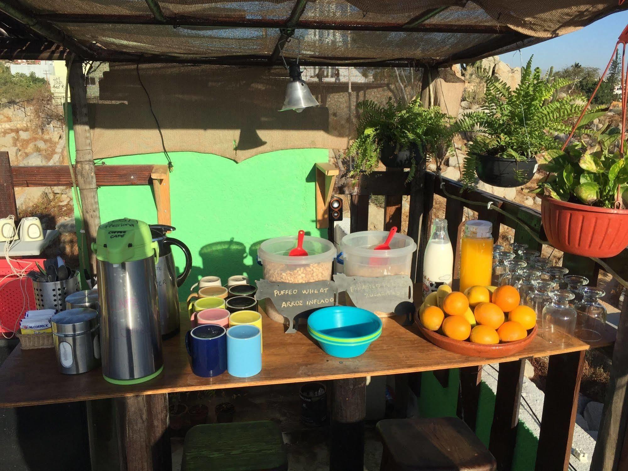 Bajas Cactus Hostel Cabo San Lucas Luaran gambar