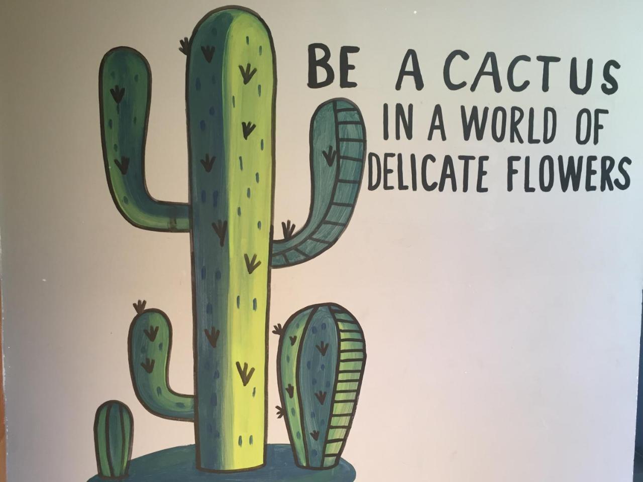 Bajas Cactus Hostel Cabo San Lucas Luaran gambar