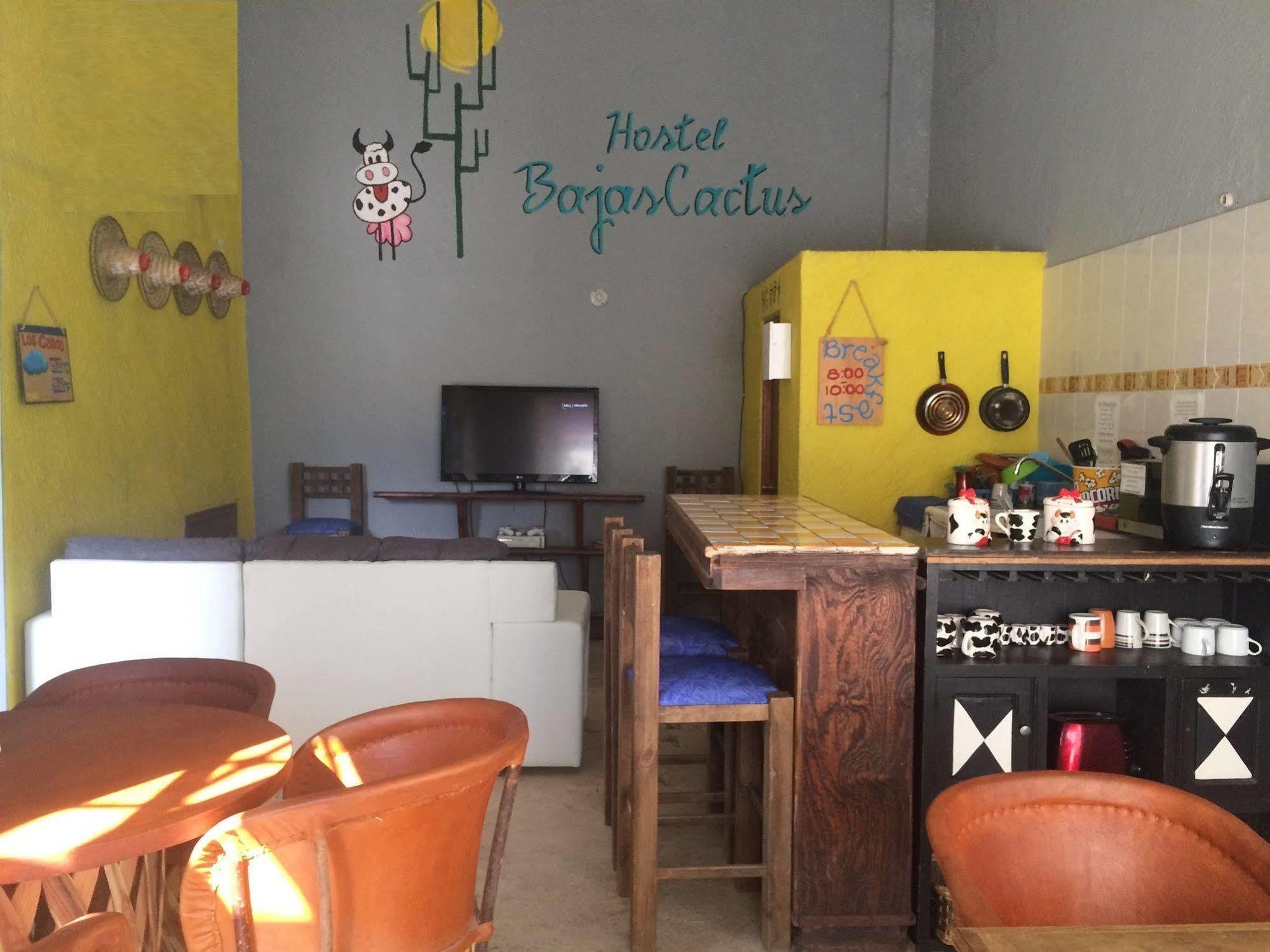Bajas Cactus Hostel Cabo San Lucas Luaran gambar