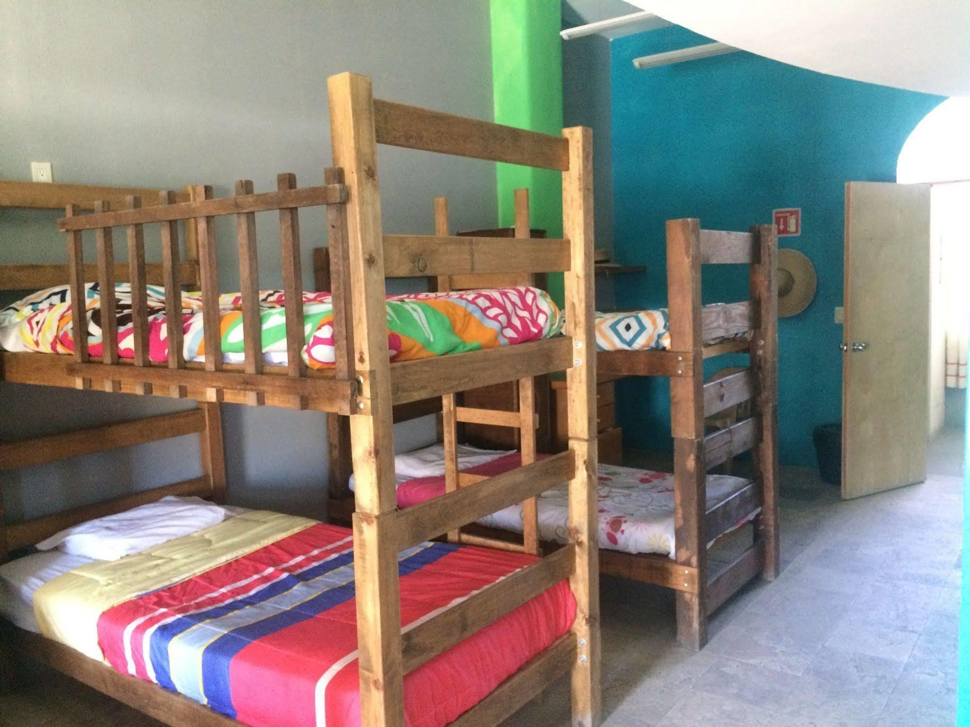 Bajas Cactus Hostel Cabo San Lucas Luaran gambar