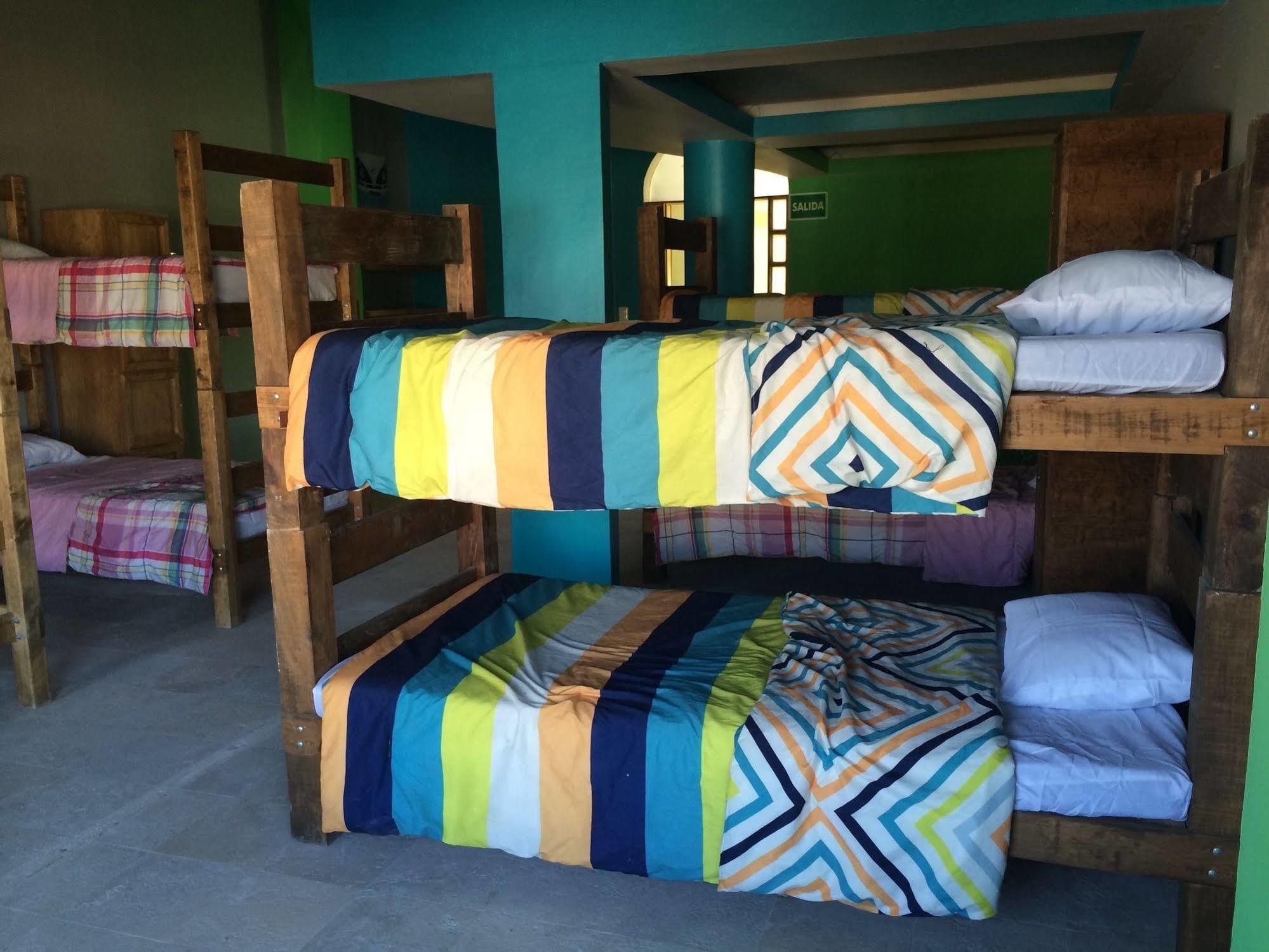 Bajas Cactus Hostel Cabo San Lucas Luaran gambar